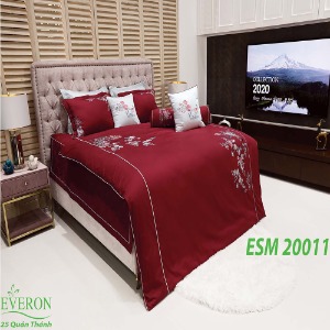 Bộ Chăn Ga Everon ESM-20011
