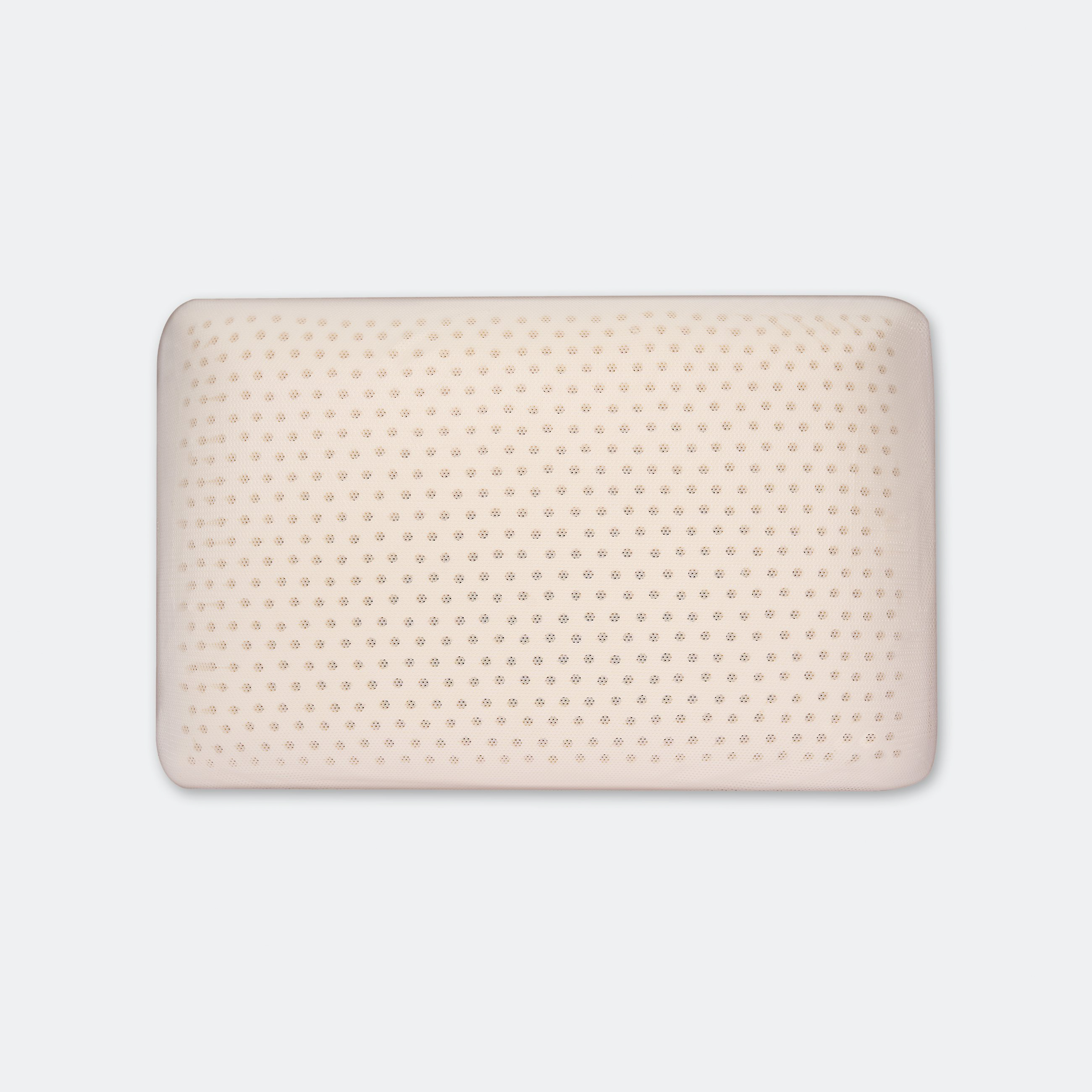 Ruột Gối Cao Su Latex EVERON