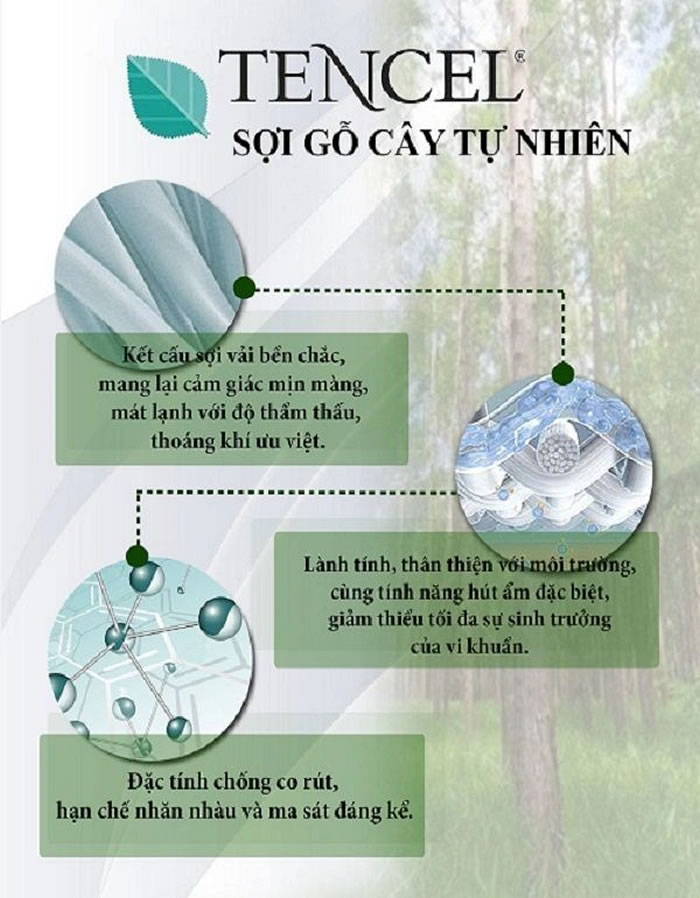 ly-do-vai-tencel-duoc-dung-nhieu-trong-san-xuat-chan-ga-goi-dem-1.jpg