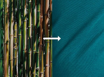 Lợi ích khi sự dụng bộ chăn ga Everon chất liệu Bamboo có thể bạn chưa biết