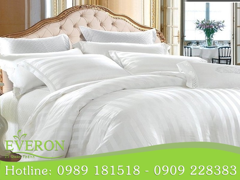Daily Everon chất lượng dẫn đầu, trải nghiệm xứng tầm