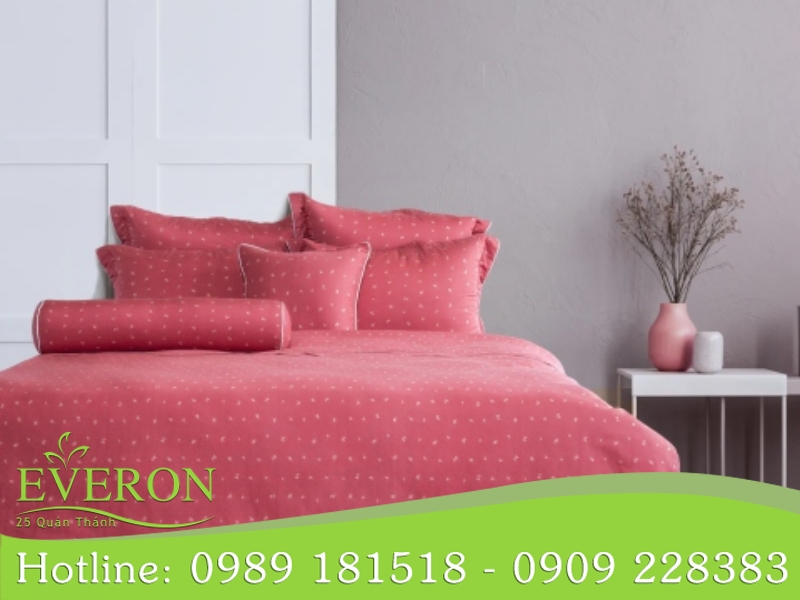 Trải nghiệm sản phẩm chất lượng cao từ Daily Everon