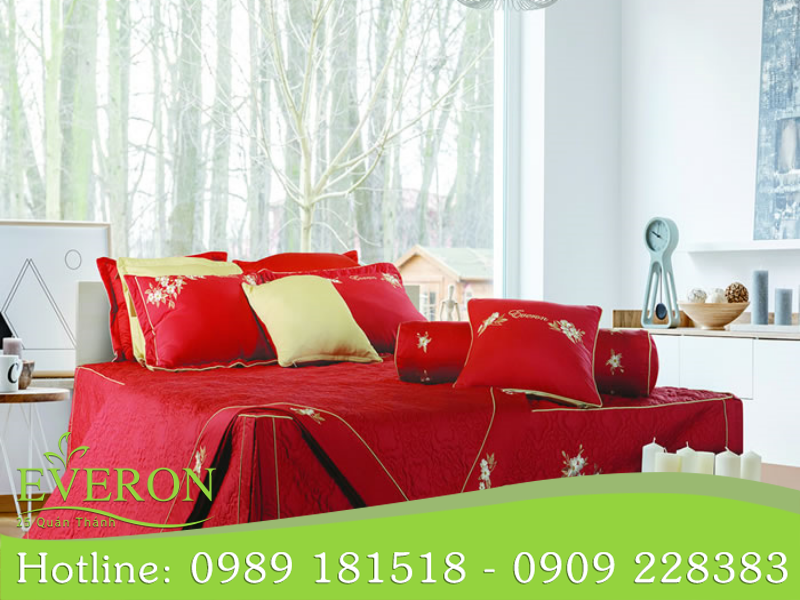 Trải nghiệm sản phẩm chất lượng cao từ Daily Everon