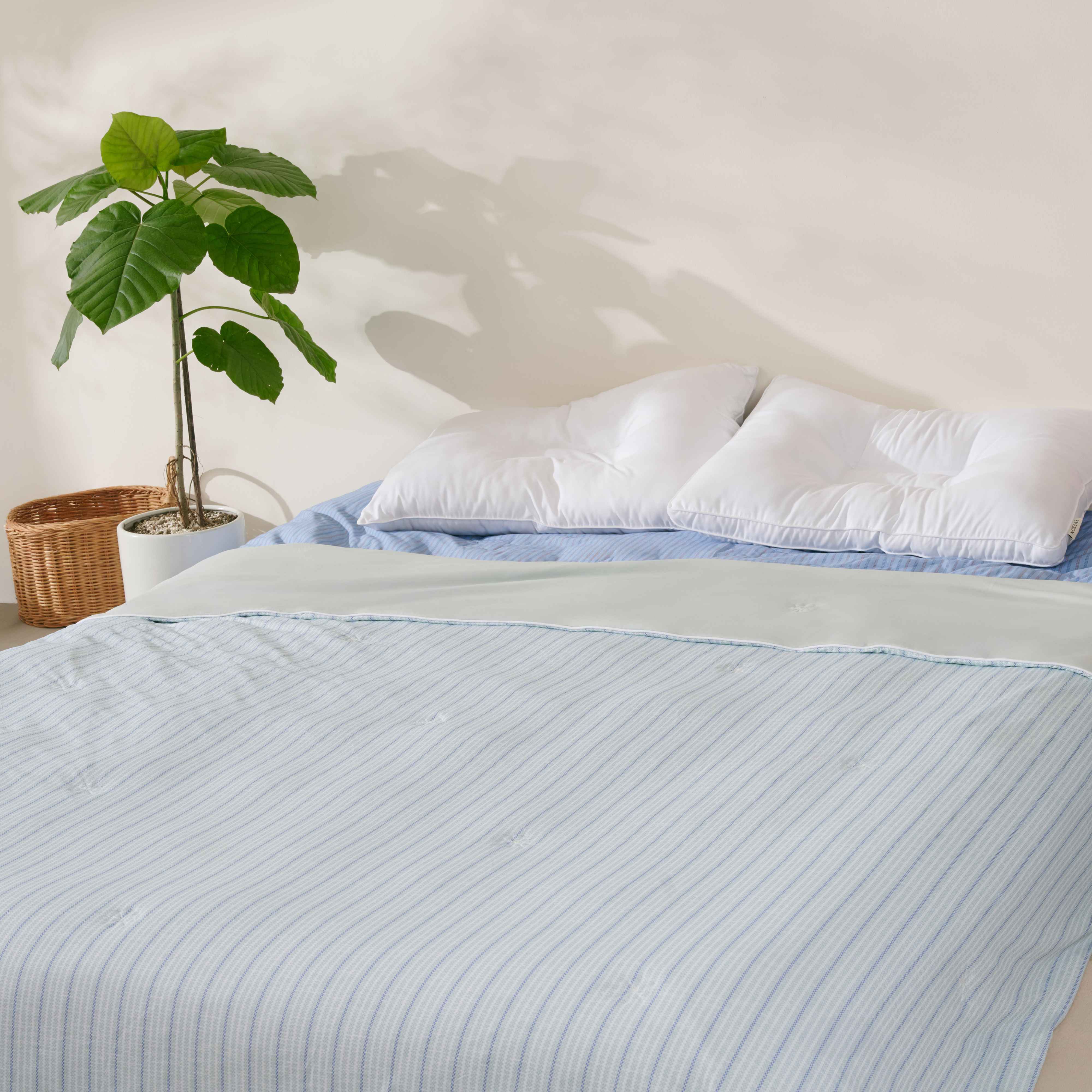 Chăn Làm Mát Cool Everon