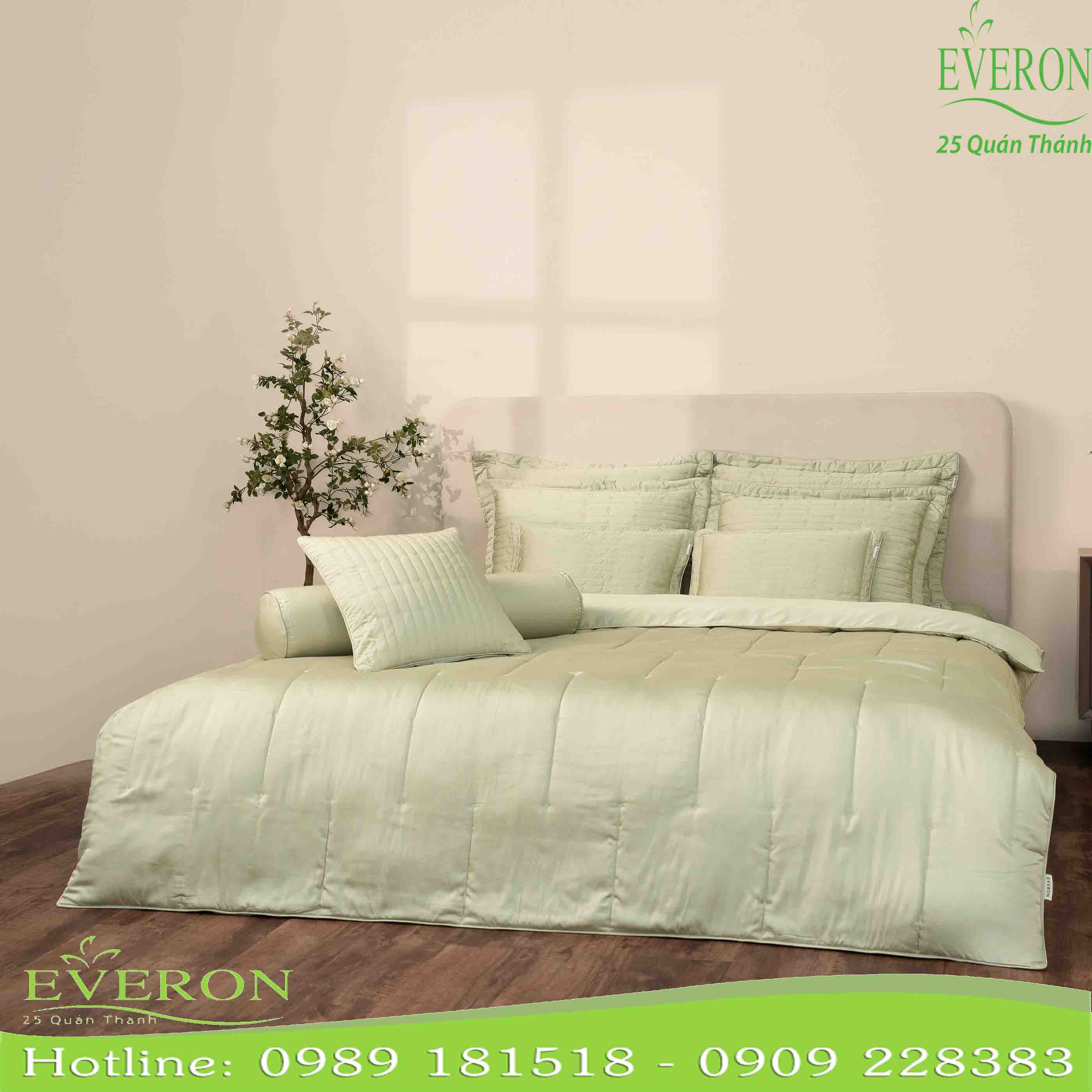 Bộ Chăn Ga Everon ESB-27014